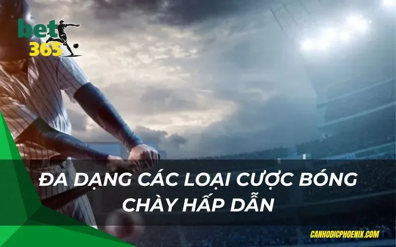 Đa dạng các loại cược bóng chày hấp dẫn