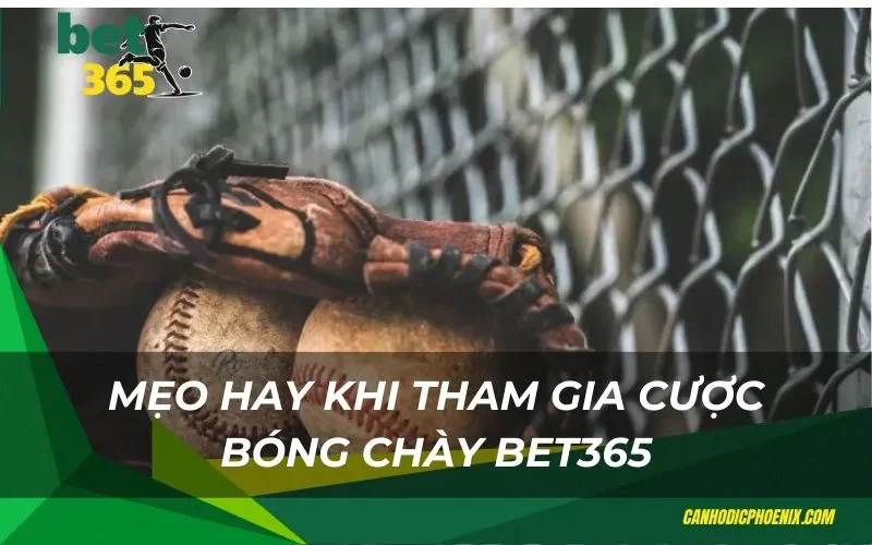 Mẹo hay khi tham gia cược bóng chày bet365
