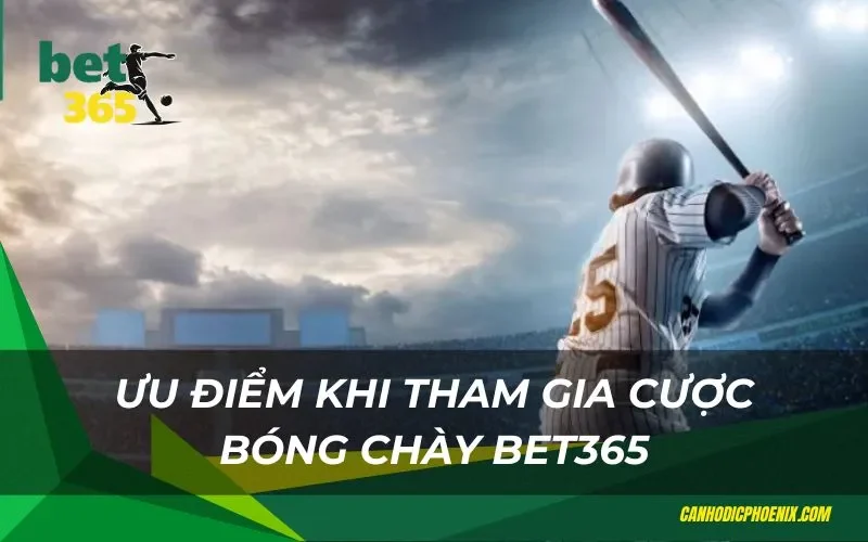 Ưu điểm khi tham gia cược bóng chày bet365