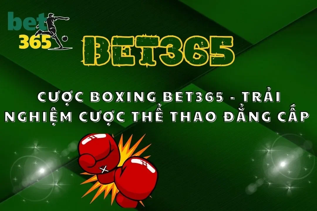 Cược Boxing Bet365 - Trải Nghiệm Cược Thể Thao Đẳng Cấp 