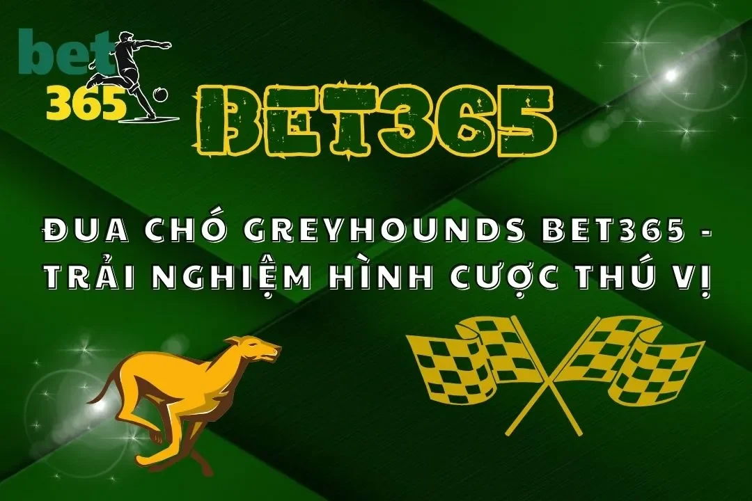 Đua Chó Greyhounds Bet365 - Trải Nghiệm Hình Cược Thú Vị