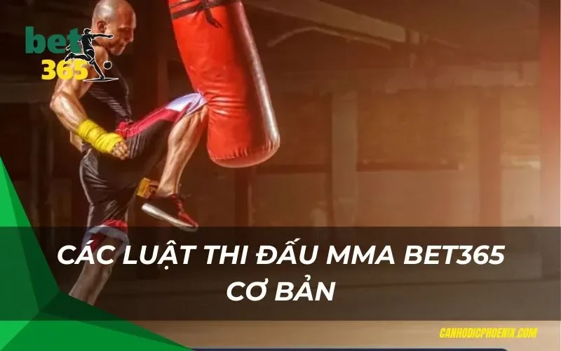 Các luật thi đấu MMA Bet365 cơ bản