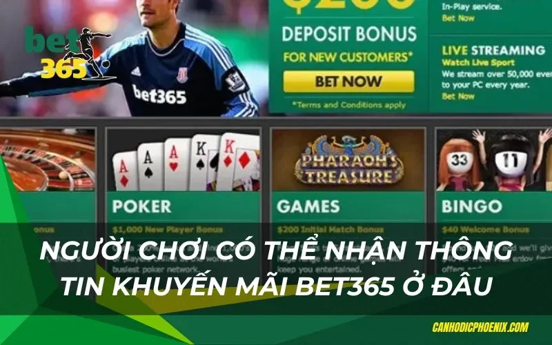 Cách nhận các thông báo khuyến mãi nhanh chóng