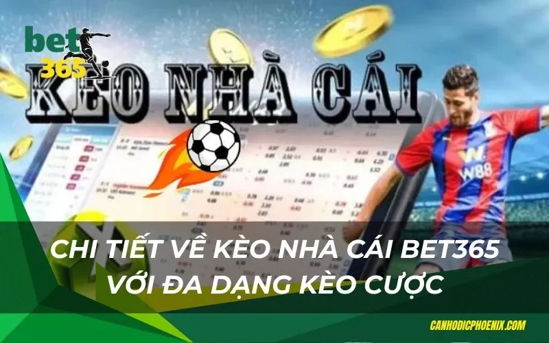 Chi tiết về các loại kèo cược bóng đá đa dạng