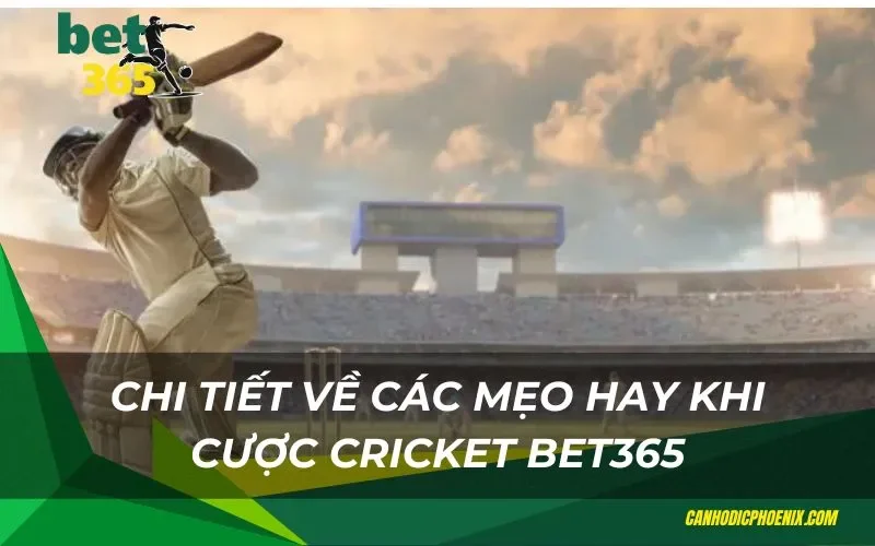 Chi tiết về các mẹo hay khi cược Cricket Bet365