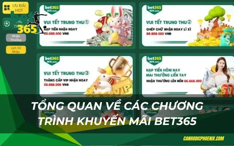 Chi tiết về các sự kiện khuyến mãi đang diễn ra