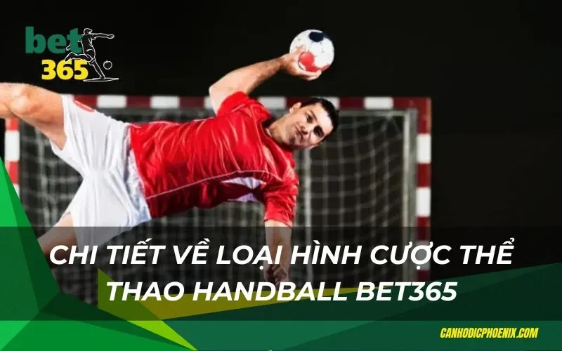 Chi tiết về loại hình cược thể thao handball bet365