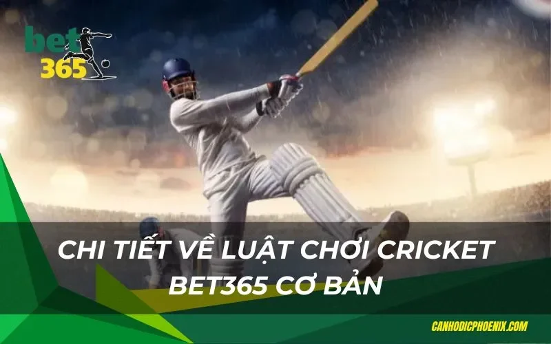Chi tiết về luật chơi Cricket Bet365 cơ bản