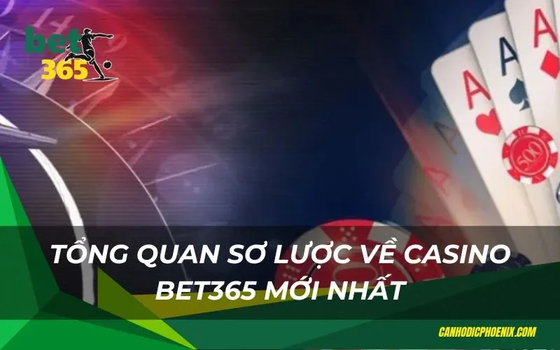 Chi tiết về trải nghiệm cá cược casino tại Bet365