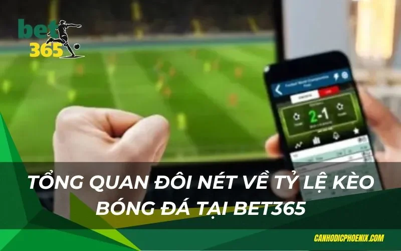 Chi tiết về tỷ lệ kèo bóng đá tại bet365