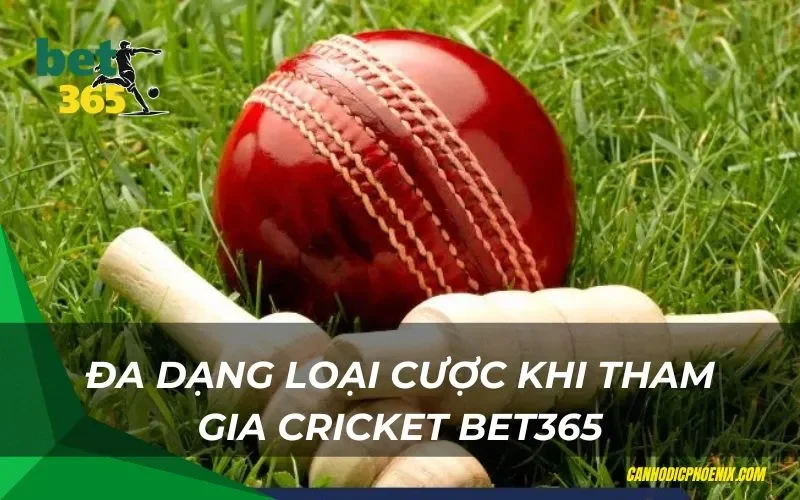 Đa dạng loại cược khi tham gia Cricket Bet365