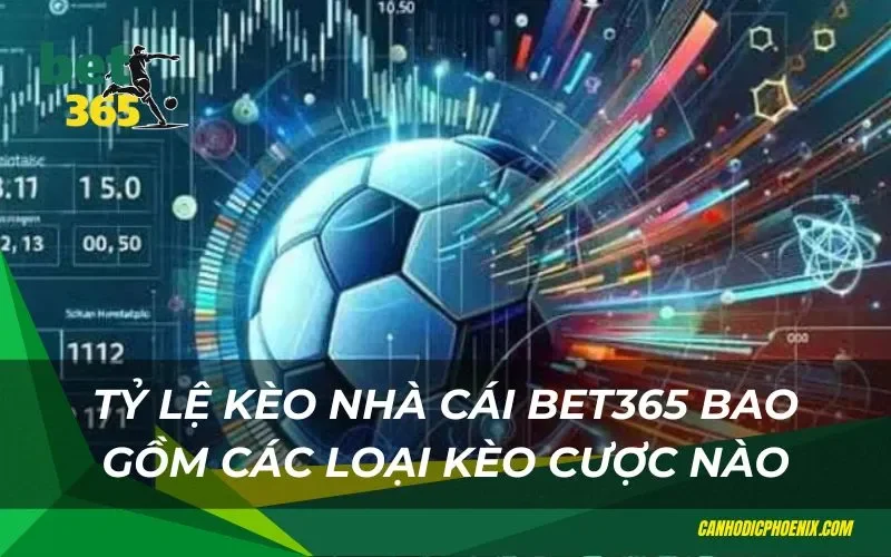 Đa dạng loại cược trong tỷ lệ kèo bóng đá
