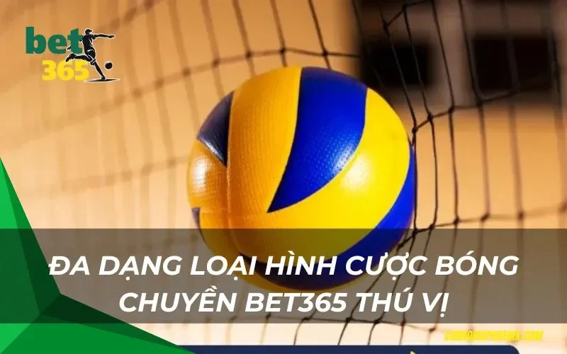 Đa dạng loại hình cược bóng chuyền bet365 thú vị