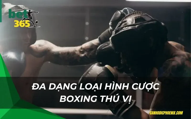 Mẹo hay khi tham gia cược boxing hiệu quả