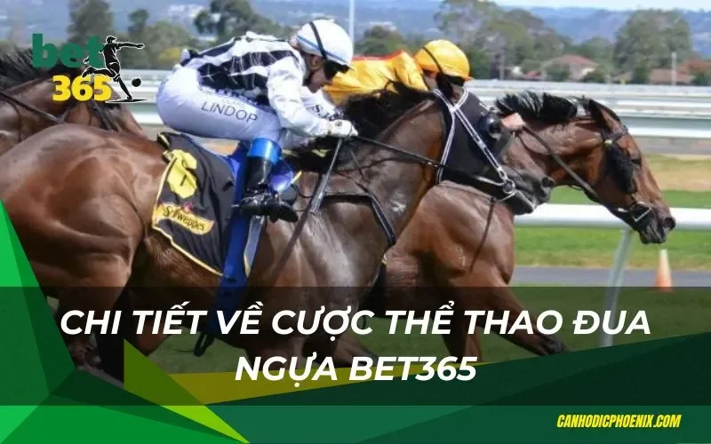 Chi tiết về cược thể thao đua ngựa Bet365