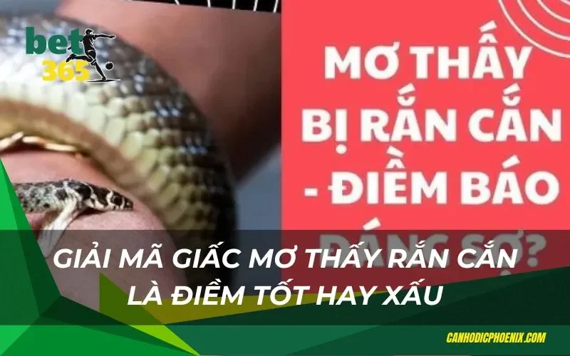 Điềm báo gì khi gặp mơ thấy rắn cắn