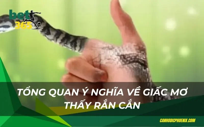 Giải mã ý nghĩa giấc mơ thấy rắn cắn