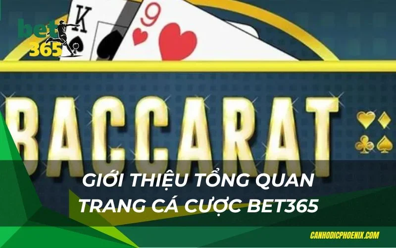 Trải nghiệm hấp dẫn khi chơi Baccarat bet365