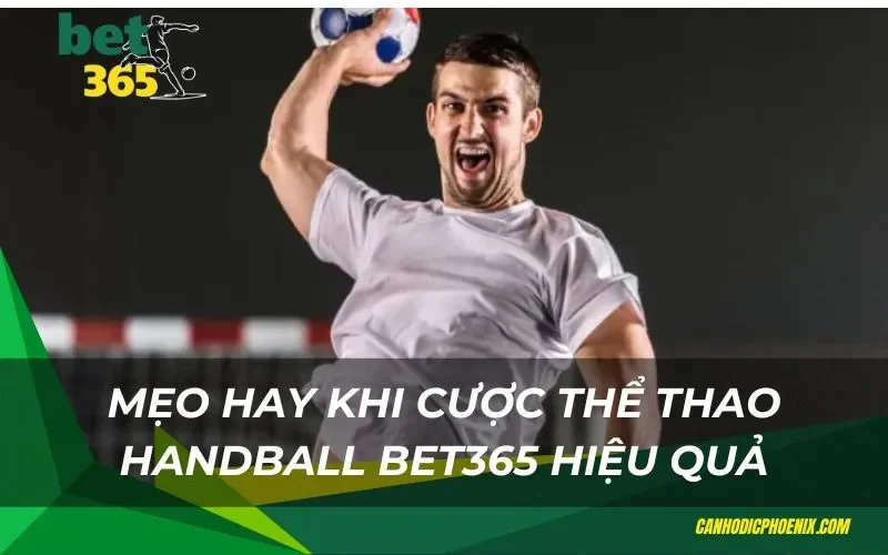 Mẹo hay khi cược thể thao handball Bet365 hiệu quả