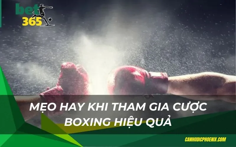 Tổng quan về cược boxing bet365 thú vị