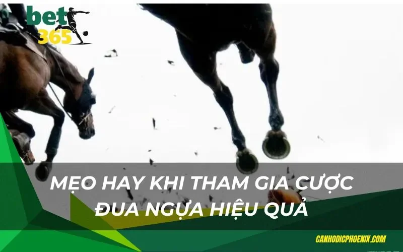 Mẹo hay khi tham gia cược đua ngựa Bet365 hiệu quả