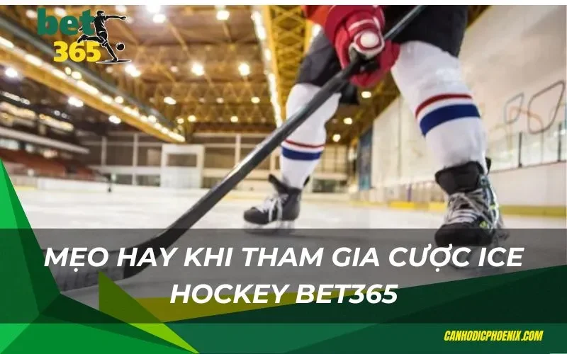 Mẹo hay khi tham gia cược Ice hockey Bet365