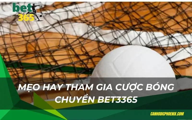 Mẹo hay tham gia cược bóng chuyền bet3365