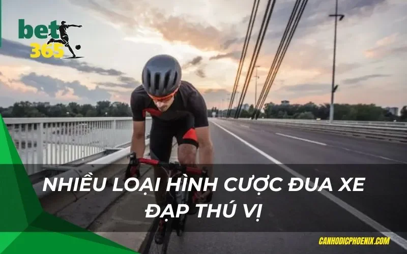 Nhiều loại hình cược đua xe đạp thú vị