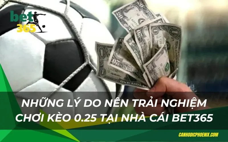 Nhiều ưu điểm thú vị khi chơi kèo 0.25 tại bet365