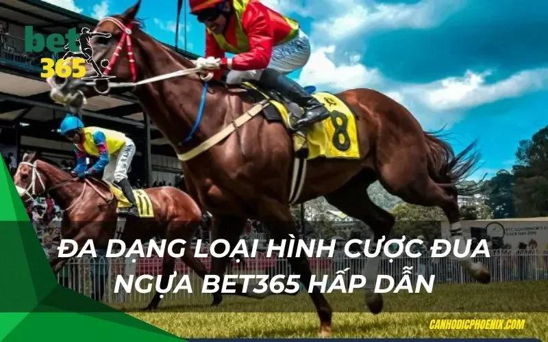 Đa dạng loại hình cược đua ngựa bet365 hấp dẫn
