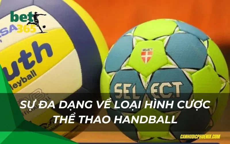 Sự đa dạng về loại hình cược thể thao handball