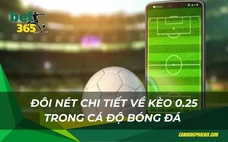Tìm hiểu chi tiết về loại kèo 0.25 chi tiết