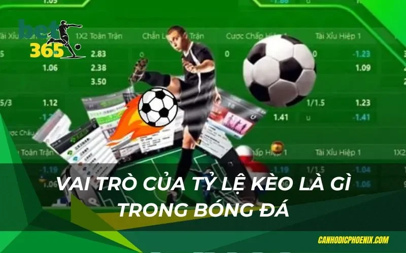 Tìm hiểu vai trò của tỷ lệ kèo trong cá độ bóng đá