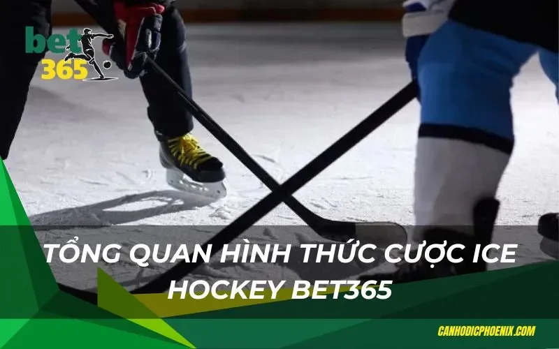 Tổng quan hình thức cược ice hockey Bet365