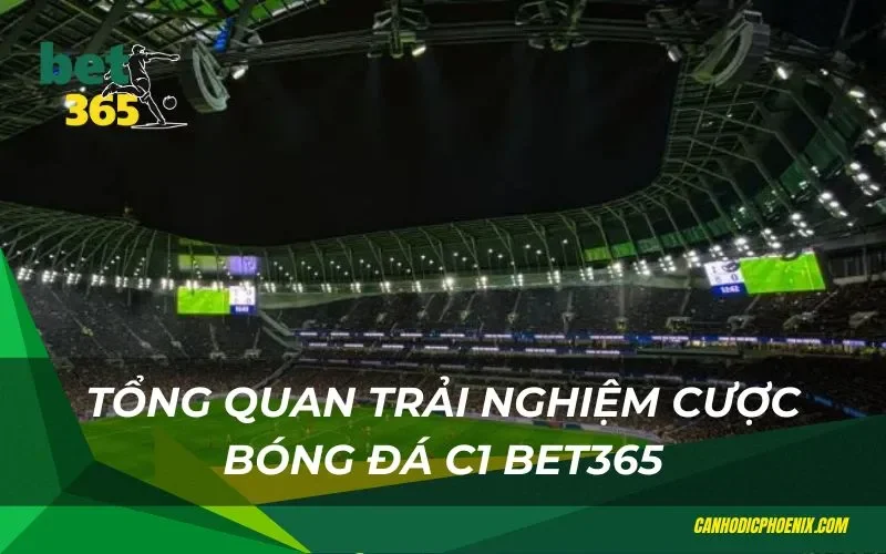 Tổng quan trải nghiệm cược bóng đá c1 bet365