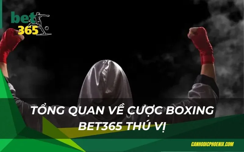 Đa dạng loại hình cược boxing thú vị