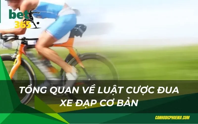 Tổng quan về luật Cược đua xe đạp Bet365 cơ bản