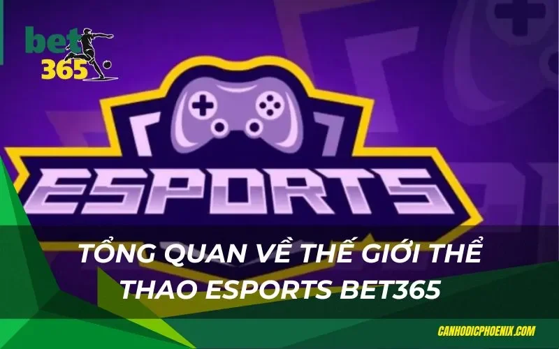 Tổng quan về thế giới thể thao esports bet365