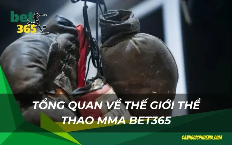 Tổng quan về thế giới thể thao MMA Bet365