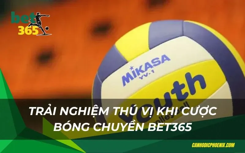 Trải nghiệm thú vị khi cược bóng chuyền bet365